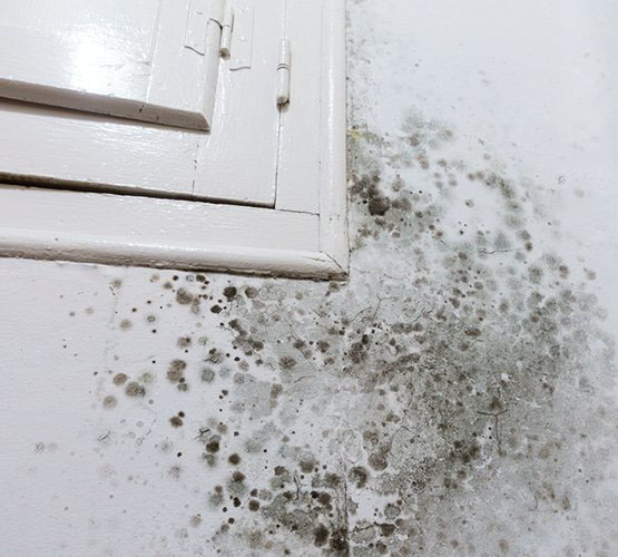 Estrategias Efectivas para Combatir la Humedad en Casa